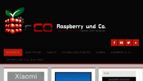 What Raspberryundco.de website looked like in 2018 (6 years ago)