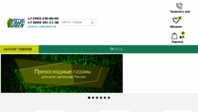 What Rusgrass.ru website looked like in 2018 (5 years ago)