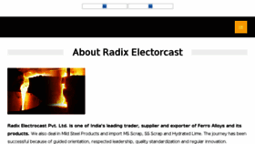 What Radixexport.com website looked like in 2018 (5 years ago)