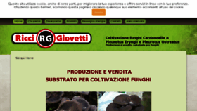 What Ricci-giovetti.it website looked like in 2018 (7 years ago)