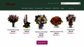 What Rosemill.net website looked like in 2018 (5 years ago)
