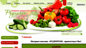 What Rodnechok.ru website looked like in 2018 (5 years ago)