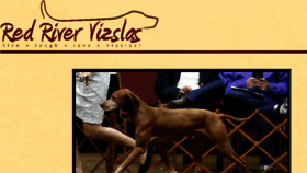 What Redrivervizslas.com website looked like in 2018 (5 years ago)
