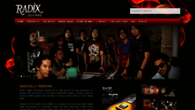 What Radixguitars.com website looked like in 2018 (5 years ago)