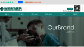 What Ringpai.com website looked like in 2018 (7 years ago)