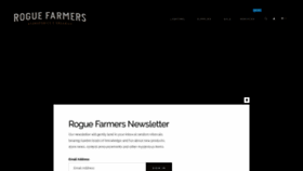 What Roguefarmers.com website looked like in 2018 (5 years ago)