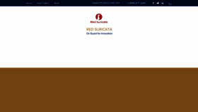 What Redsuricata.com website looked like in 2019 (5 years ago)