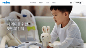 What Raycop.co.kr website looked like in 2019 (5 years ago)