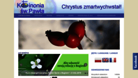 What Rmissio.pl website looked like in 2019 (5 years ago)