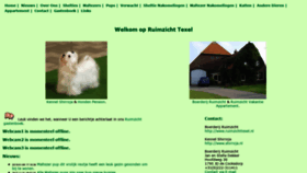 What Ruimzichttexel.nl website looked like in 2019 (5 years ago)