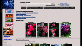 What Rosebook.ru website looked like in 2019 (7 years ago)