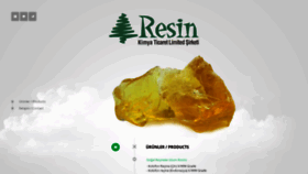 What Resinkimya.com website looked like in 2019 (5 years ago)
