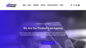 What Reinventgrowth.co website looked like in 2019 (4 years ago)