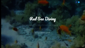 What Redseadiving.com website looked like in 2019 (4 years ago)