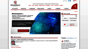 What Regimbeau.fr website looked like in 2019 (4 years ago)