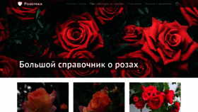 What Rozoteka.ru website looked like in 2019 (4 years ago)