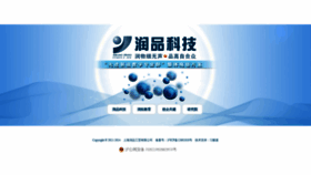 What Rptec.cn website looked like in 2019 (4 years ago)
