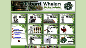 What Rjwhelan.co.nz website looked like in 2019 (4 years ago)
