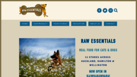 What Rawessentials.co.nz website looked like in 2019 (5 years ago)