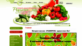 What Rodnechok.ru website looked like in 2019 (4 years ago)