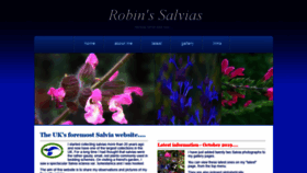 What Robinssalvias.com website looked like in 2019 (4 years ago)