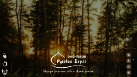 What Rusbreg.ru website looked like in 2019 (5 years ago)