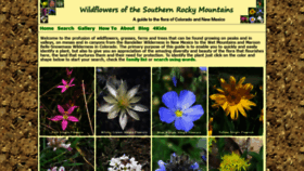 What Rockymountainsflora.com website looked like in 2019 (4 years ago)