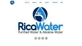 What Ricawaterstore.com website looked like in 2019 (4 years ago)