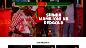 What Redgold.co.tz website looked like in 2019 (4 years ago)