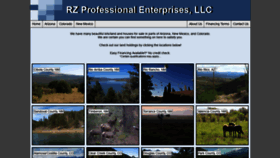 What Rzprofessional.com website looked like in 2019 (4 years ago)