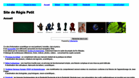 What Regispetit.fr website looked like in 2019 (4 years ago)