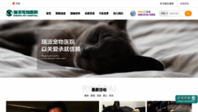 What Ringpai.com website looked like in 2019 (6 years ago)