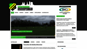 What Rsv05.de website looked like in 2019 (4 years ago)