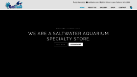 What Reeftastic.com website looked like in 2020 (4 years ago)