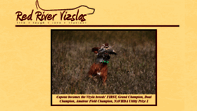 What Redrivervizslas.com website looked like in 2020 (4 years ago)