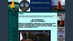 What Rebelcat.com website looked like in 2020 (4 years ago)