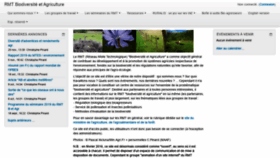 What Rmt-biodiversite-agriculture.fr website looked like in 2020 (4 years ago)