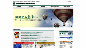 What Rockpaint.co.jp website looked like in 2020 (4 years ago)