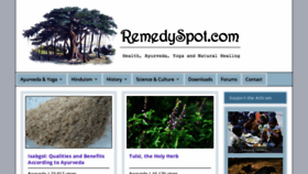 What Remedyspot.com website looked like in 2020 (4 years ago)