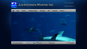 What Rebreather.us website looked like in 2020 (4 years ago)