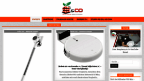 What Raspberryundco.de website looked like in 2020 (4 years ago)