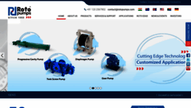What Rotopumps.com website looked like in 2020 (5 years ago)