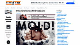 What Removemoldguide.com website looked like in 2020 (4 years ago)
