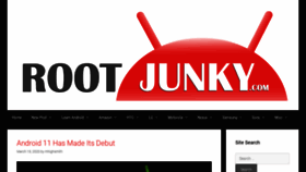 What Rootjunky.com website looked like in 2020 (4 years ago)