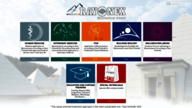 What Rayonex.com.tr website looked like in 2020 (4 years ago)