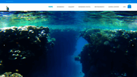 What Rohanou.com website looked like in 2020 (5 years ago)