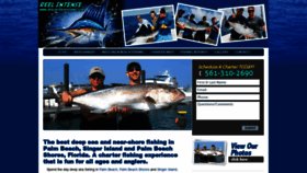 What Reelintensefishing.com website looked like in 2020 (4 years ago)