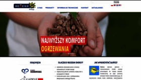 What Regessenergy.pl website looked like in 2020 (3 years ago)