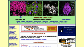 What Raymondareanews.com website looked like in 2020 (3 years ago)
