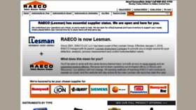 What Raeco.com website looked like in 2020 (3 years ago)